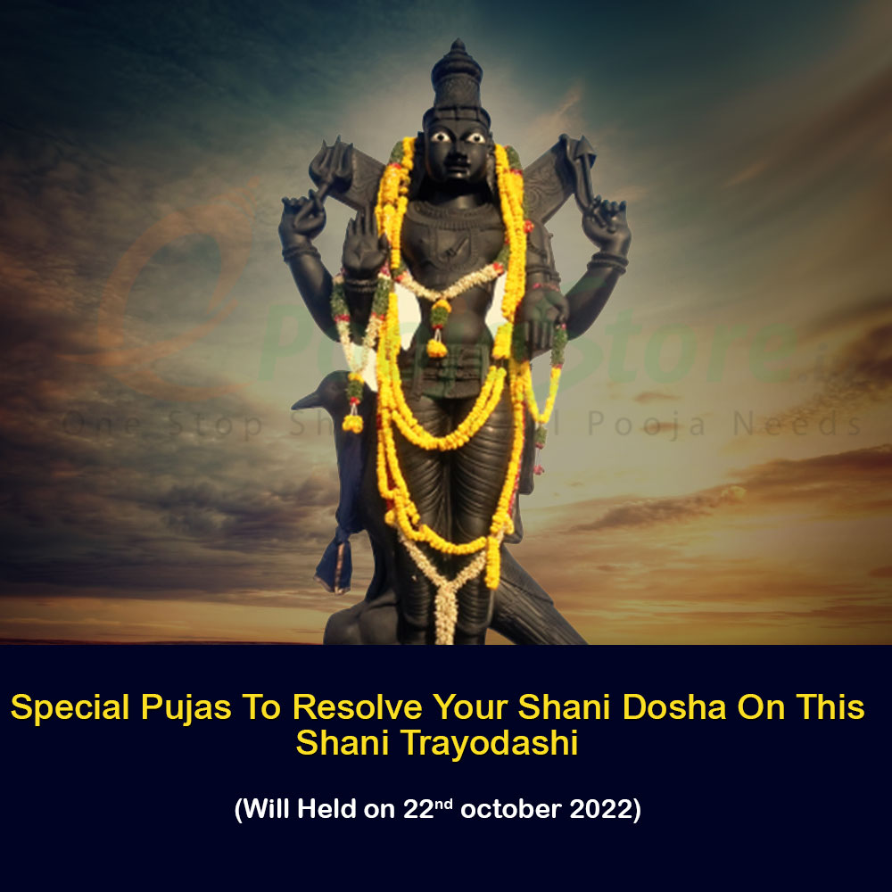 Special Pujas To Resolve Your Shani Dosha On This Shani Trayodashi